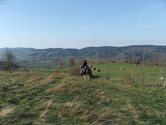 Horse riding holidays Poland