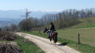 Horse riding - Kaczawa Mountains Poland