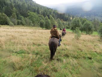 Horse trails Poland Izera Foothills
