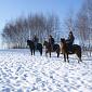 26.01.2014 Winter trip on horses /2