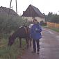 01.08.2003 Jizera mountains 2003 - first trail with the night out with the horses /4