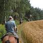11.08.2011 Polish-Czech horse trail to Jizera Mountains "Around the Smrk Mountain" /4