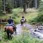 11.08.2011 Polish-Czech horse trail to Jizera Mountains "Around the Smrk Mountain" /16