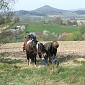 22.04.2007 Horse trail through Kaczawa Mountains /23