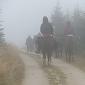 30.09.2013 2 horse trails to Jizera Mountains (Poland - Czech Republic) /19