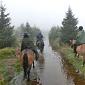 30.09.2013 2 horse trails to Jizera Mountains (Poland - Czech Republic) /20