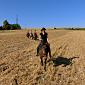 30.09.2013 2 horse trails to Jizera Mountains (Poland - Czech Republic) /81