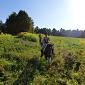 30.09.2013 2 horse trails to Jizera Mountains (Poland - Czech Republic) /83