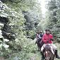 30.09.2013 2 horse trails to Jizera Mountains (Poland - Czech Republic) /32
