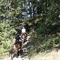 30.09.2013 2 horse trails to Jizera Mountains (Poland - Czech Republic) /68