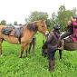 30.09.2013 2 horse trails to Jizera Mountains (Poland - Czech Republic) /52