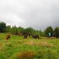 30.09.2013 2 horse trails to Jizera Mountains (Poland - Czech Republic) /3