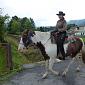 30.09.2013 2 horse trails to Jizera Mountains (Poland - Czech Republic) /23