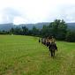 30.09.2013 2 horse trails to Jizera Mountains (Poland - Czech Republic) /24