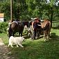 30.09.2013 2 horse trails to Jizera Mountains (Poland - Czech Republic) /48